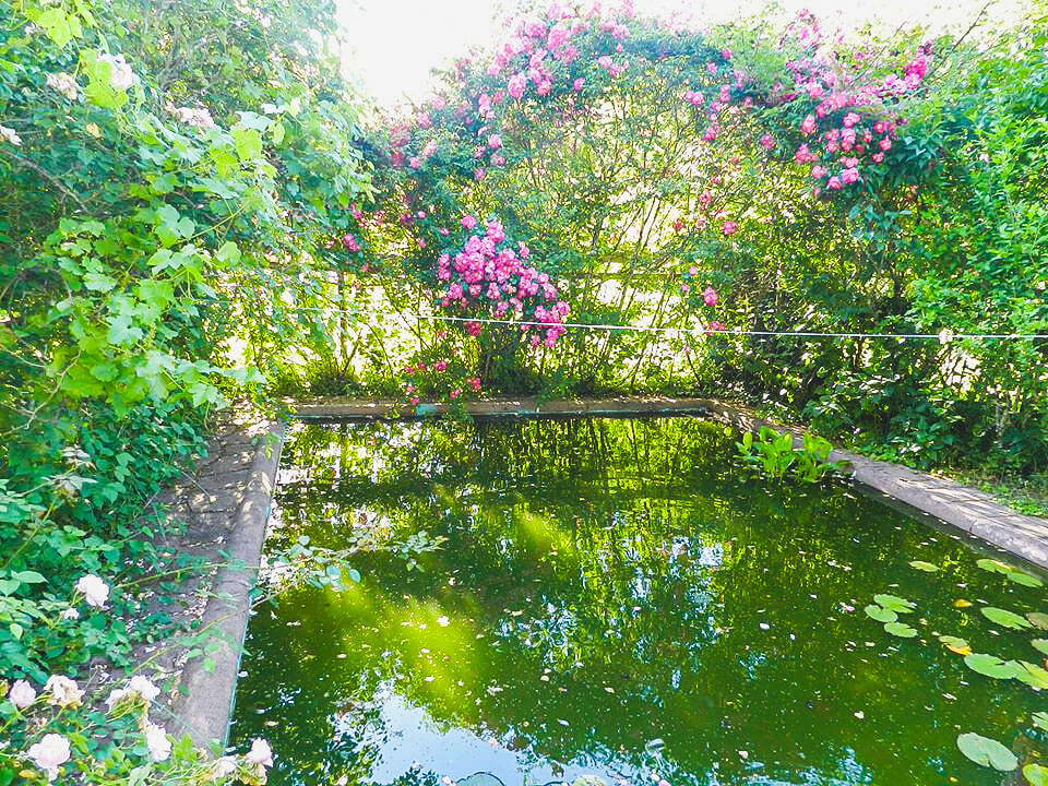 Garden Nerac